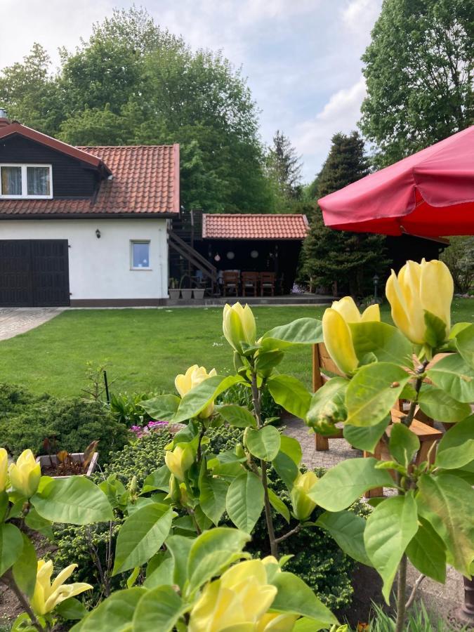 Magnolia Appartement Kruklanki Buitenkant foto